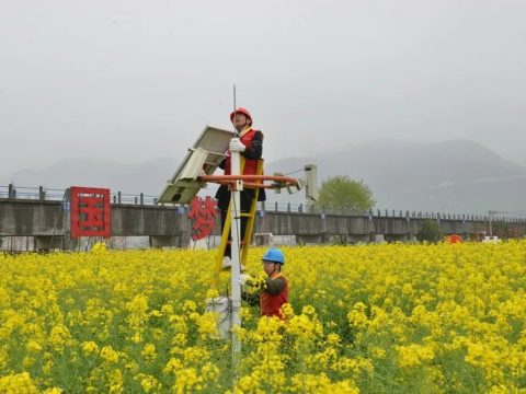 利来国际老牌平台